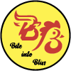 Bulls N Birds logo